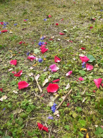 colourful petals of red, pink and blue are scattered across a mossy, grassy ground