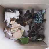 IMG_20200206_153058_701